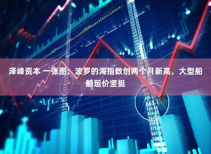 泽峰资本 一张图：波罗的海指数创两个月新高，大型船舶运价坚挺