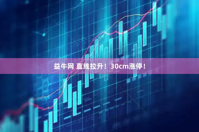 益牛网 直线拉升！30cm涨停！