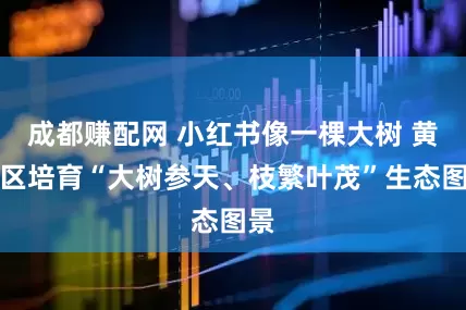 成都赚配网 小红书像一棵大树 黄浦区培育“大树参天、枝繁叶茂”生态图景
