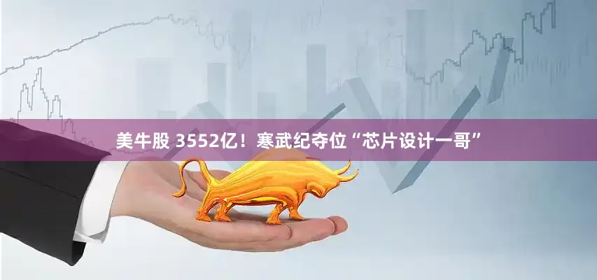 美牛股 3552亿！寒武纪夺位“芯片设计一哥”