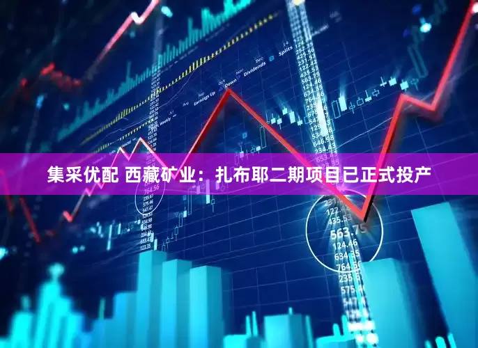 集采优配 西藏矿业：扎布耶二期项目已正式投产