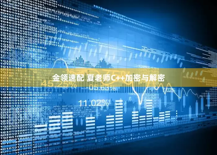 金领速配 夏老师C++加密与解密