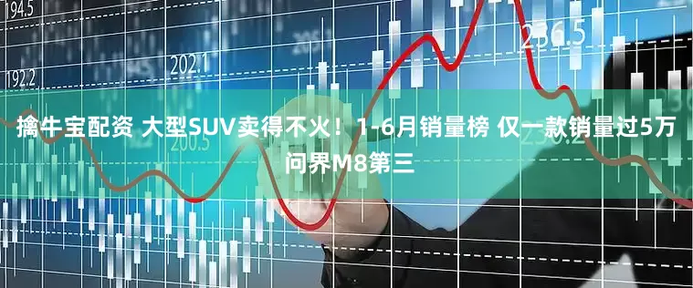 擒牛宝配资 大型SUV卖得不火！1-6月销量榜 仅一款销量过5万 问界M8第三